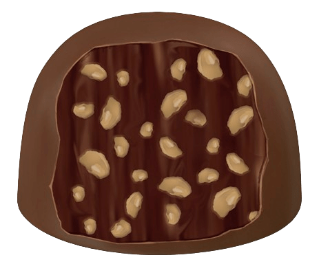 Bombom de Chocolate Meio Amargo
com Recheio de Castanha-do-Pará